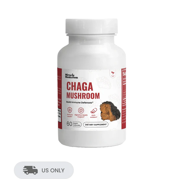 Chaga Mushroom